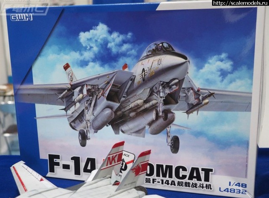 1696310795_BsWIB9axiRU.jpg : #1802185/ 1/48 - Grumman F-14A & B Tomcat by Great Wall Hobby (GWH  