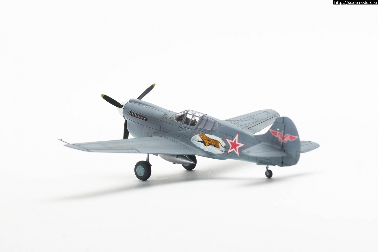 1696798555_003.jpg : #1802772/ P-40k 1/72 Special hobby !  