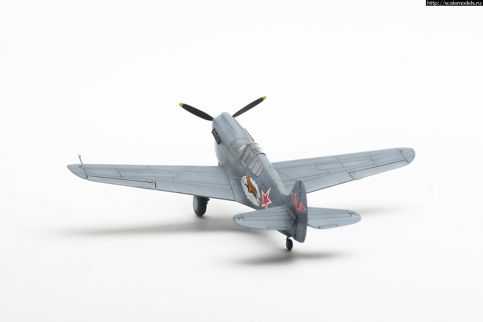 1696798557_004.jpg : #1802772/ P-40k 1/72 Special hobby !  