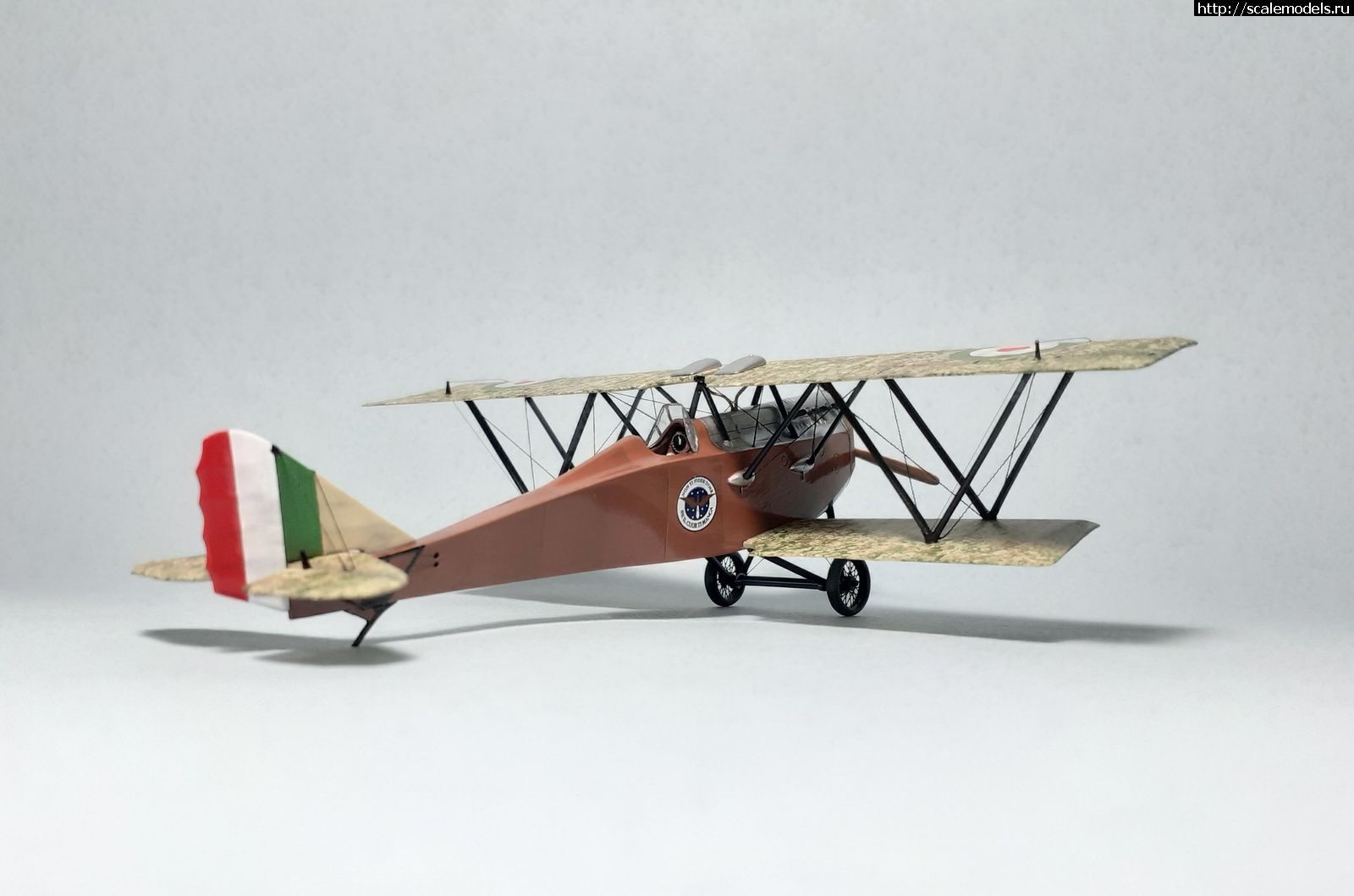 1697741557_8.jpg : #1803942/ Ansaldo S.V.A. 5 (Fly 1:72) !  