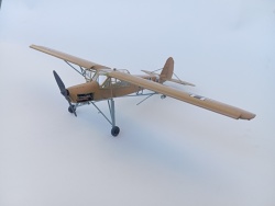Tamiya 1/48 Fieseler Fi-156 C-3 Storch, 