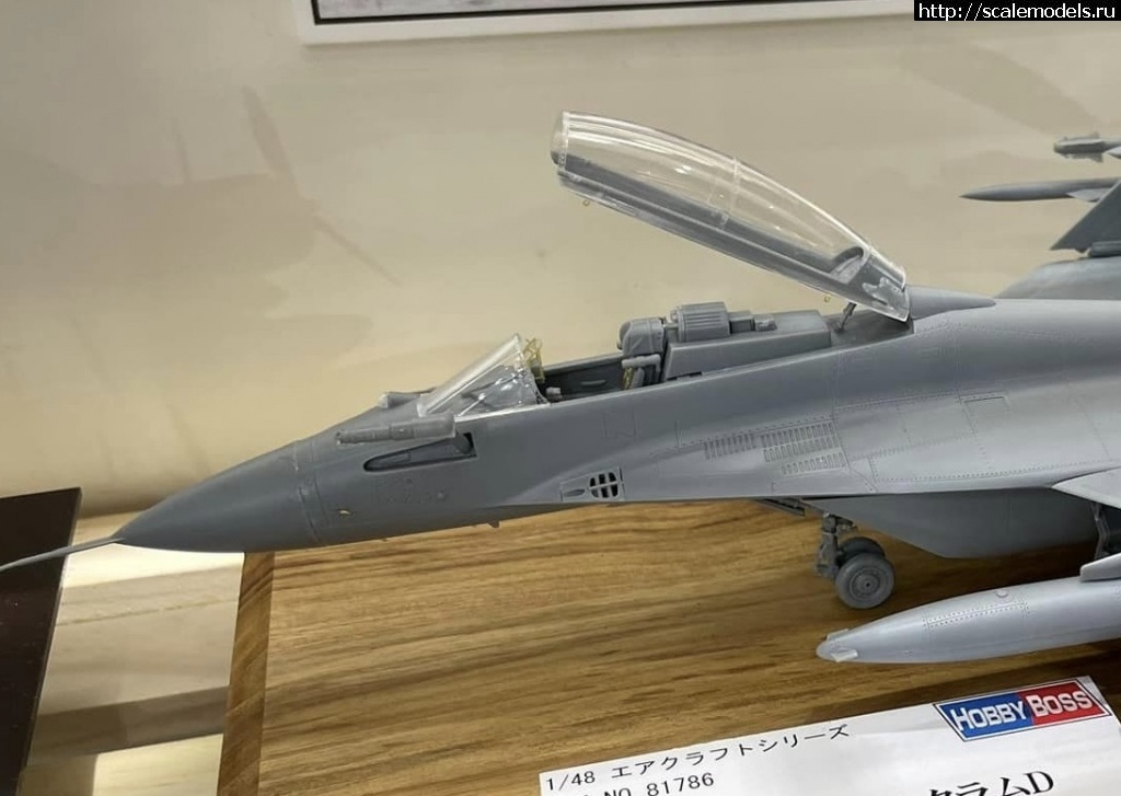 1698998909_384804653.jpg : Hobbyboss 1/48 MiG-29K  