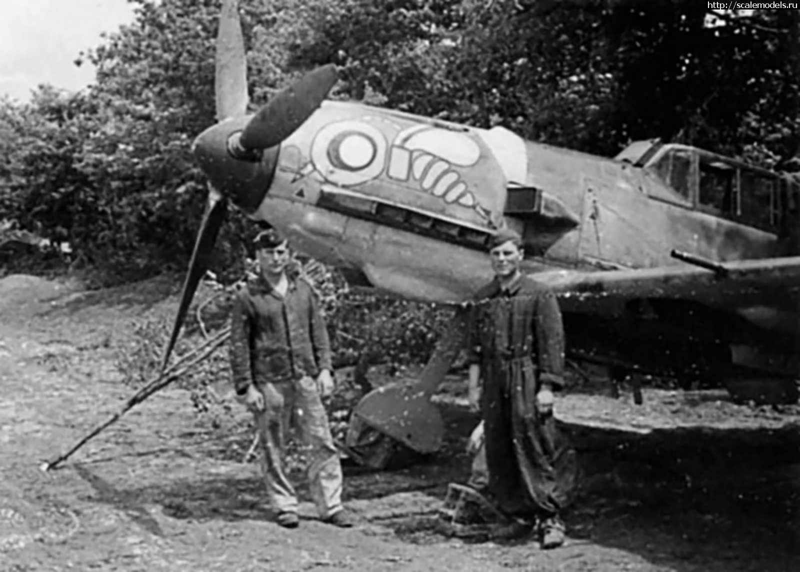 1700002098_Messerschmitt-Bf-109E7B-8-ZG1-S9ES-sits-conceled-along-a-hedge-row-01.jpg : #1807131/   - ...(#15998) -   