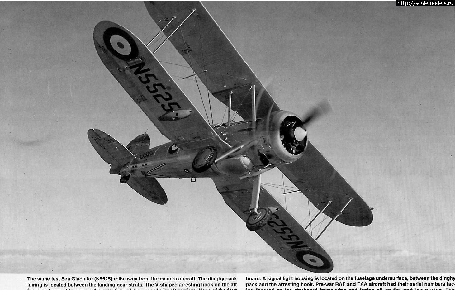 1701277433_2023-11-17_08-58-50.png : #1808489/  Gloster Gladiator Mk.I  1/48  Roden  