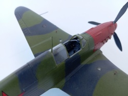 Ark Models 1/48   -7 