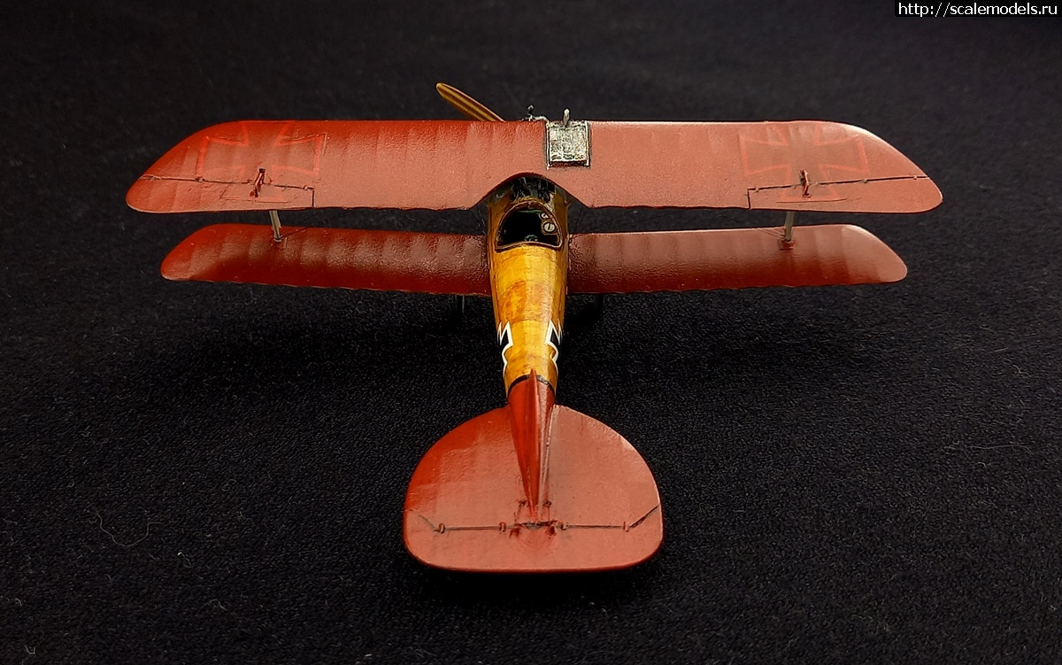 1704718446_20240107_151945.jpg : #1813400/ Roden 1/72 Albatros D.V -   