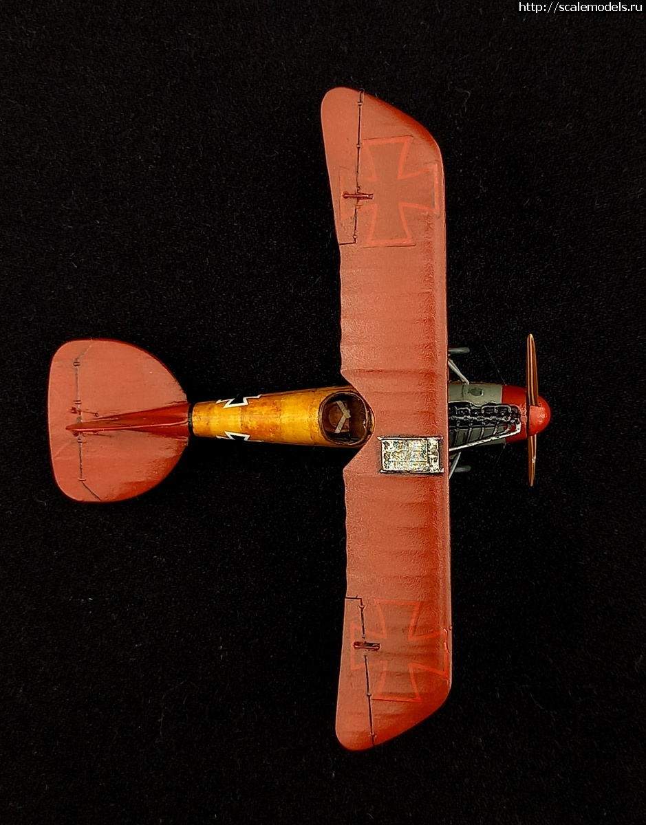 1704718479_20240107_152625.jpg : #1813400/ Roden 1/72 Albatros D.V -   