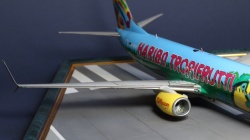  1/144 Boeing 737-800, / Tui- L 03,  II