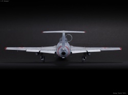  1/48 L-29 