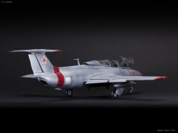  1/48 L-29 