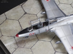  1/48 L-29 