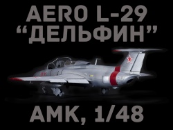  1/48 L-29 