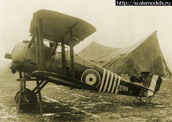 1710177649_1382268188_7.jpg :   1/72 Sopwith Snipe !  