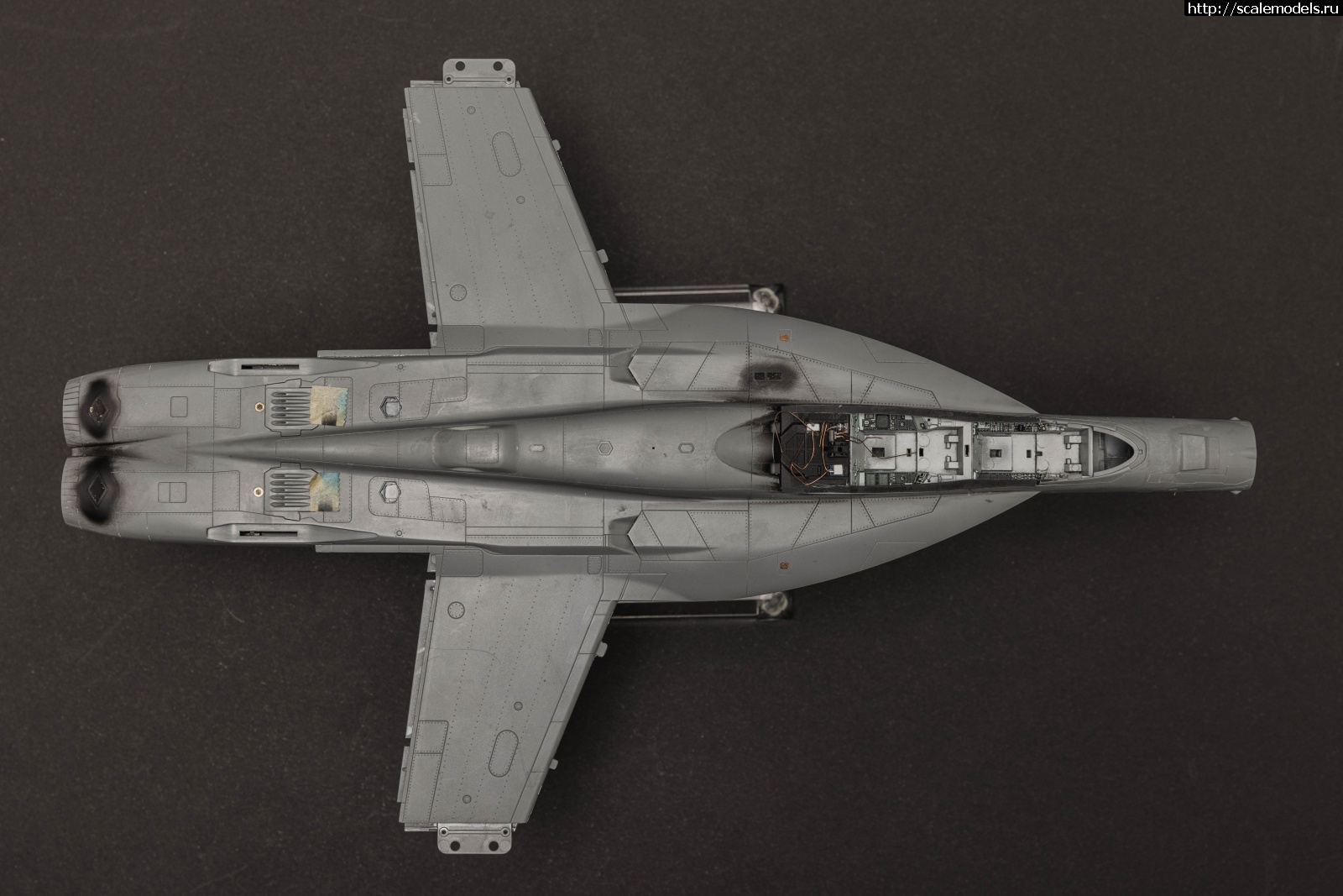 1710937804_3C7A0354.jpg : #1824387/ EA-18G GROWLER 1/48 Meng  