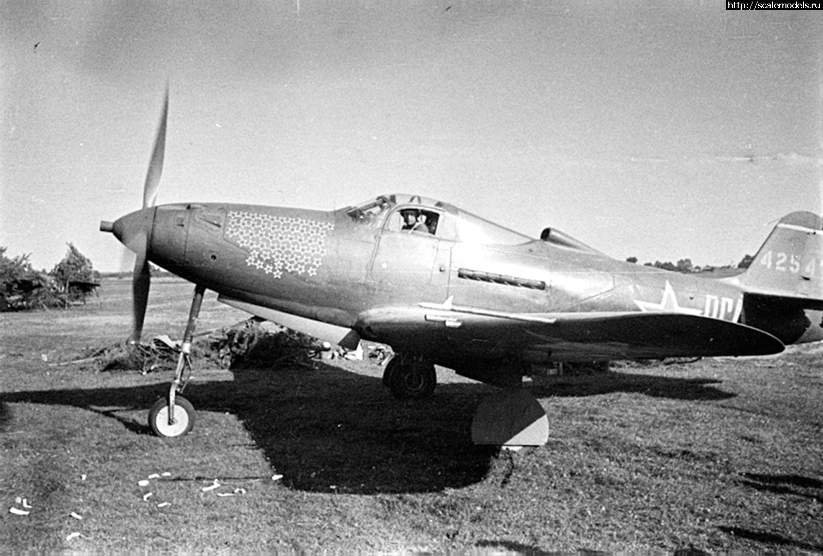 1714033610_Bell-P-39-Airacobra-Grigory-Rechkalov-16-GIAP-sn-42-8747-42547.jpg : Academy 1/72 P-39Q    ...(#16842) -   