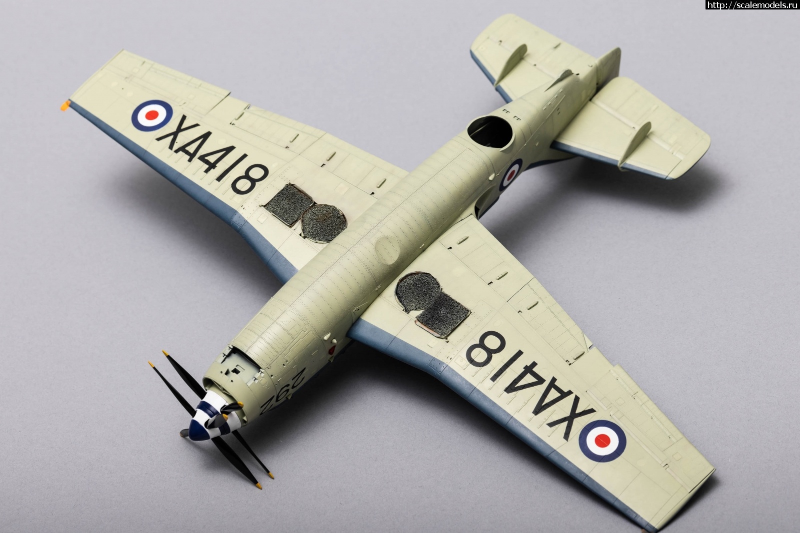 Просмотр картинки : 1715268692_3C7A0761.jpg : #1831831/ <b>Gannet</b> 1/48 AIRFIX.