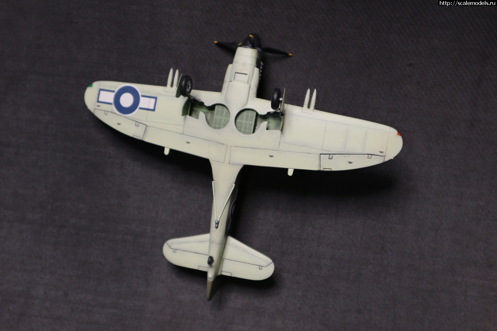 1715974526_IMG_4430.JPG : #1833073/ 1/72 Fairey Firefly Mk.I  Novo- !  