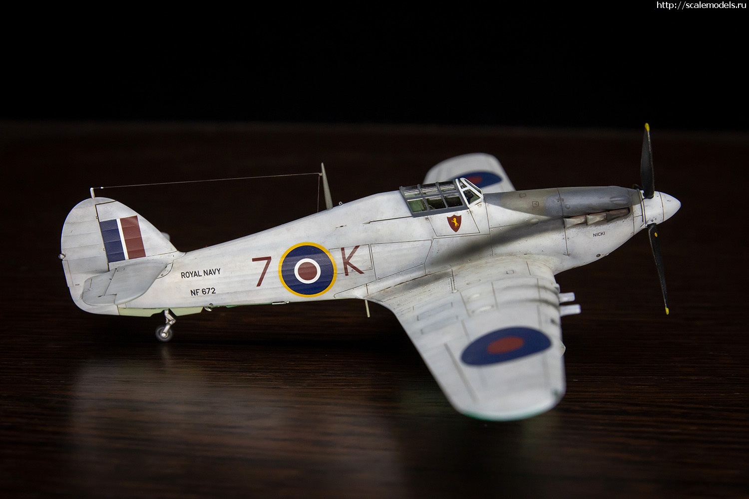 1716282857_IMG_5537.jpg : #1833496/  Sea Hurricane Mk IIc Arma Hobby vs Revel 1/72  