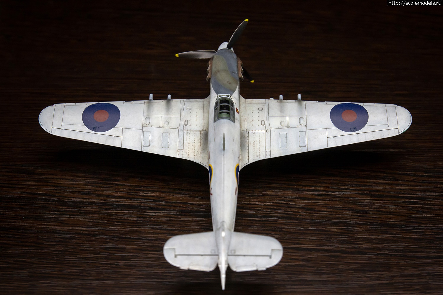 1716282860_IMG_5542.jpg : #1833496/  Sea Hurricane Mk IIc Arma Hobby vs Revel 1/72  