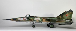 ICM 1/48 -25  