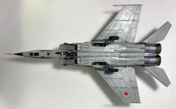 ICM 1/48 -25  