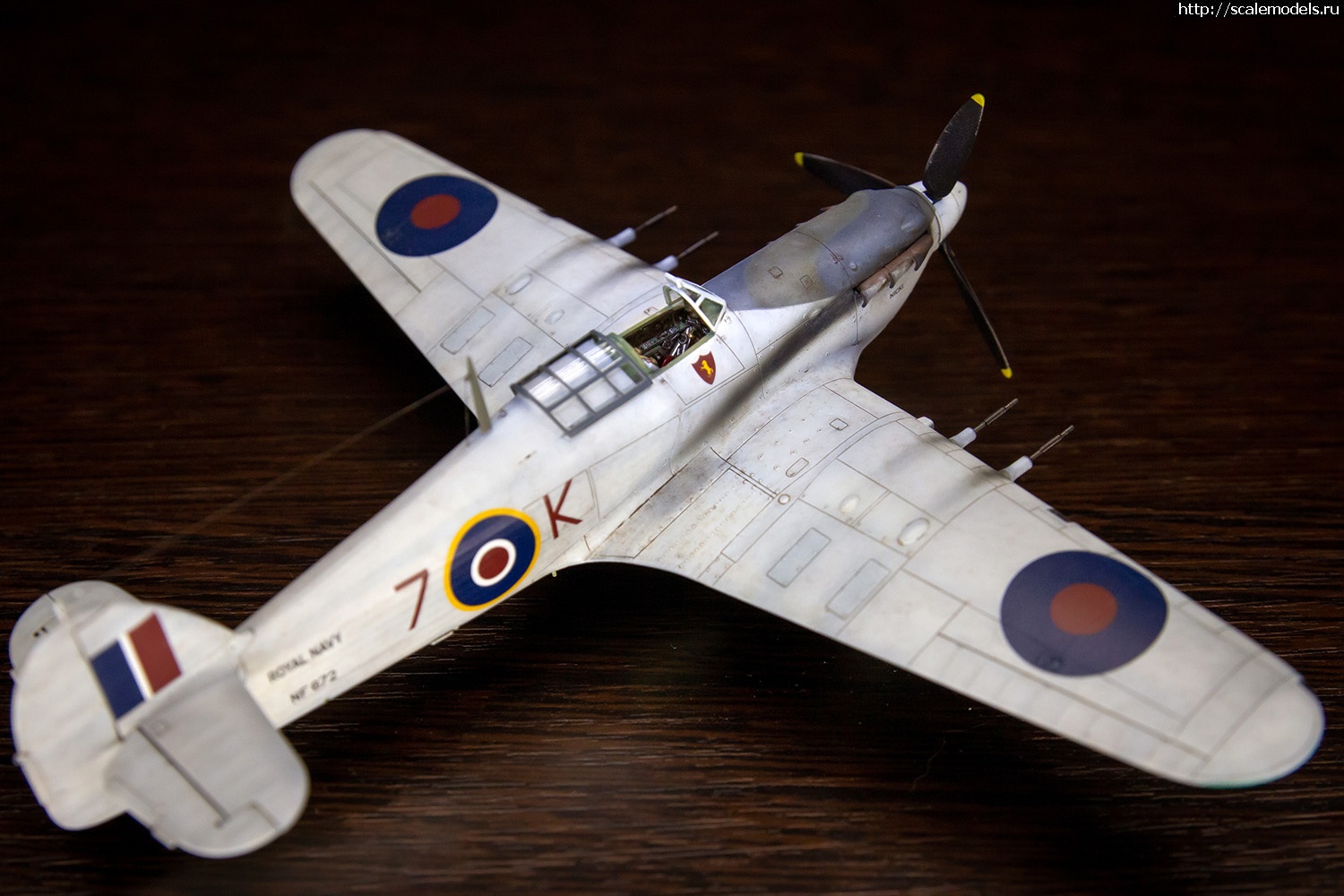 1717440630_IMG_5675.jpg : #1835441/  Sea Hurricane Mk IIc Arma Hobby vs Revel 1/72  