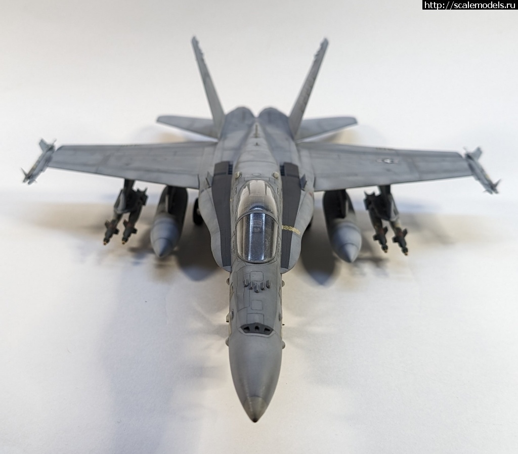 1718639970_PXL_20240616_202425252.jpg : #1837348/ F/A-18C Hasegawa 1/48  