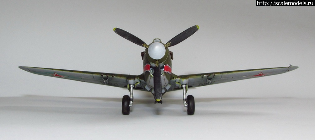 1719753439_4.JPG : #1838659/ Hasegawa 1:72 Curtiss P-40N ..   