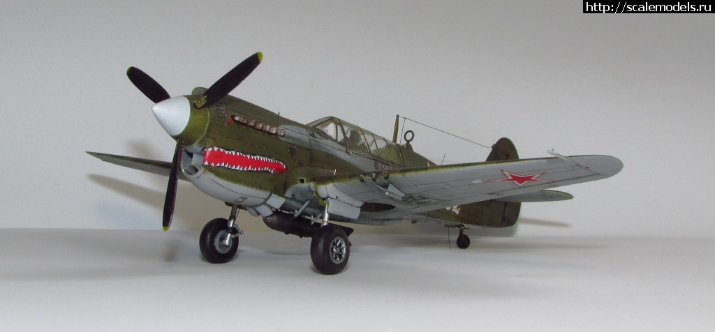 1719753441_3.JPG : #1838659/ Hasegawa 1:72 Curtiss P-40N ..   