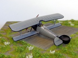 Roden 1/72 -24   