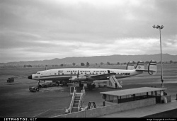 Lockheed L-1049 Super Constellation -   