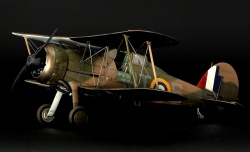 Roden Gloster 1/48 Gladiator Mk. 1   