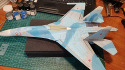 1/48 -27  83  RF-91911   PLA J-11B