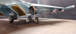 1/48 -27  83  RF-91911   PLA J-11B