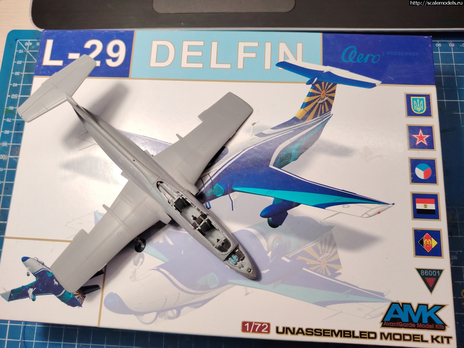 1728718352_IMG_20241012_140103.jpg : L-29 Delfin 1:72  .  