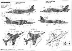  Hasegawa 1/72 Harrier GR Mk.3 (. 00236)