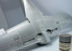 Hasegawa 1/48 Kawanishi N1K2-J Shidenkai