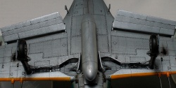 Hasegawa 1/48 Kawanishi N1K2-J Shidenkai