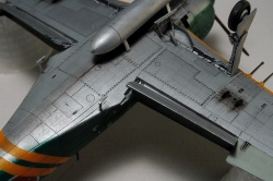 Hasegawa 1/48 Kawanishi N1K2-J Shidenkai