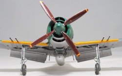 Hasegawa 1/48 Kawanishi N1K2-J Shidenkai