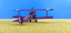 Roden 1/72 Sopwith 2F1 Ships Camel -  