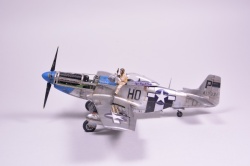 Meng Models 1/48 P-51D Mustang