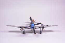 Meng Models 1/48 P-51D Mustang