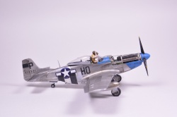 Meng Models 1/48 P-51D Mustang