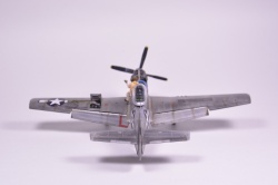 Meng Models 1/48 P-51D Mustang