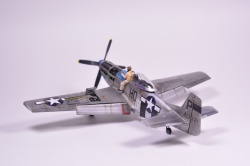 Meng Models 1/48 P-51D Mustang