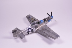 Meng Models 1/48 P-51D Mustang