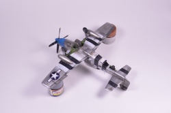 Meng Models 1/48 P-51D Mustang