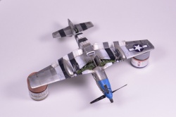 Meng Models 1/48 P-51D Mustang