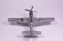 Meng Models 1/48 P-51D Mustang